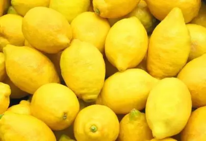 fresh EUREKA LEMON