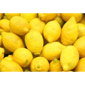 Vendita a caldo a buon mercato limoni freschi dalla Cina - Cina Limone,  limone fresco