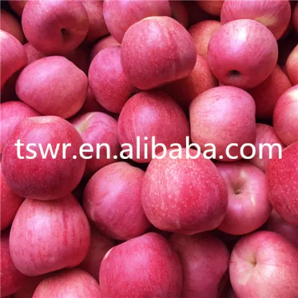 crisp and sweet fresh delicious red apple supplier