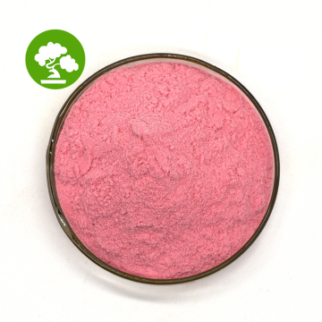 Vitamin C 17% 25% Acerola Cherry Extract Powder