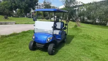 Modern 2+2 Seating Golf Cart Solution