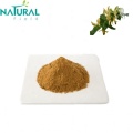 Honeysuckle flower extract 20% chlorogenic acid powder