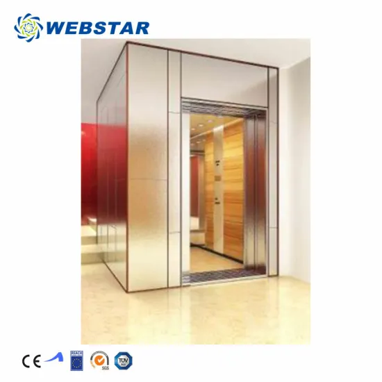 360kg Small Home Elevator Lift Screw Glass Elevator at Good Price