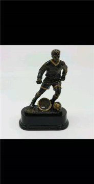 rensin sport trophy
