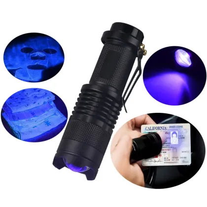 UV Light Money Detector