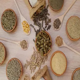 Vitamin B3 niacin food Vitamin B3 niacin