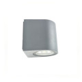 Gray Feature LED Outdoor Wall Light