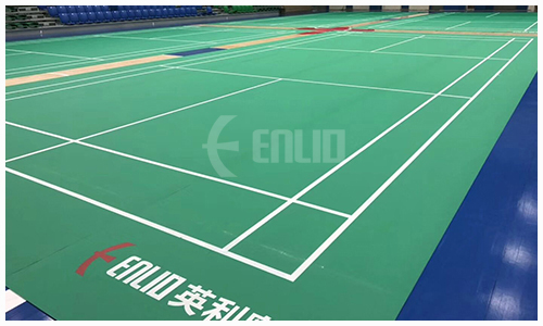 Y11 BADMINTON COURT MAT (5)