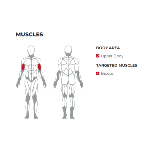 Adjustable Standing Curl Bench