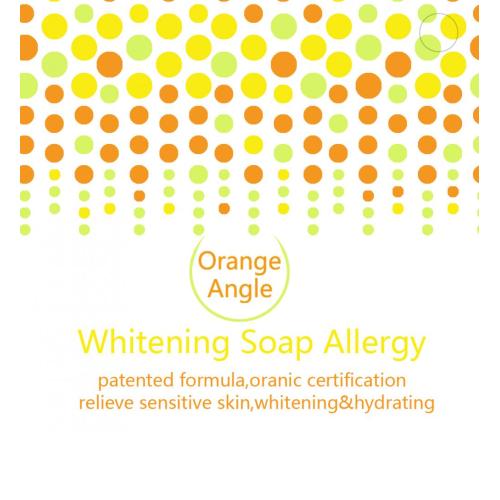 Pure Artificial Production Orange enzyme Hand Soap Manufactory