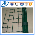 welded wire mesh panel/plastic coated holland wire