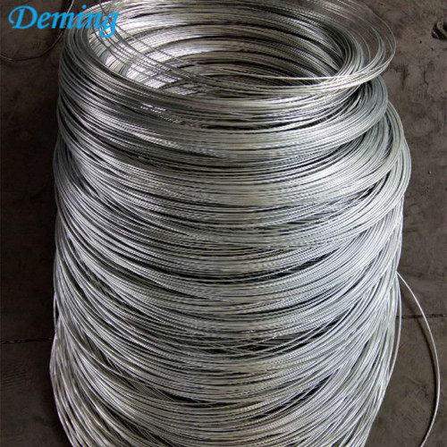 Stainless Steel Eletric Fencing Iron Wires