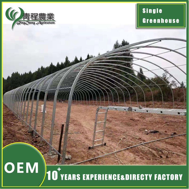 single span greenhouse using oval steel pipes