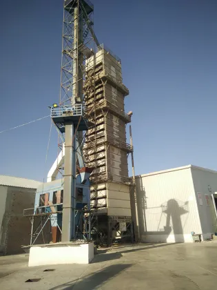 Energy Conservation Paddy Dryer Technology