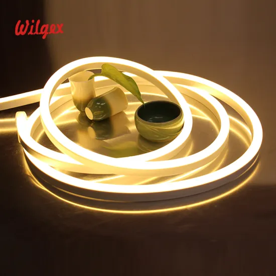 DMX 512 Control Digital RGB Led Neon Flex