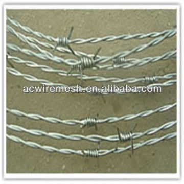 electrical galvanized barbed wire