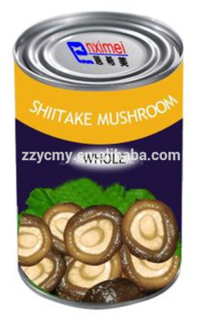 Canned whole shiitake mushroom in can