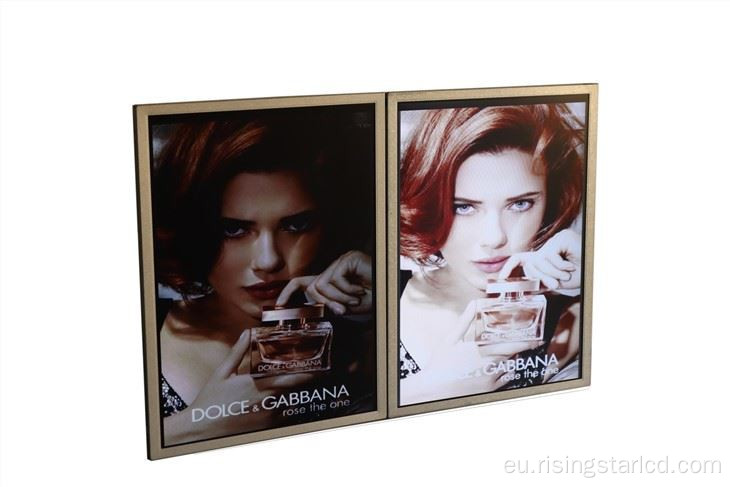 Distira handia 23,6 hazbeteko 1000 Nits LCD