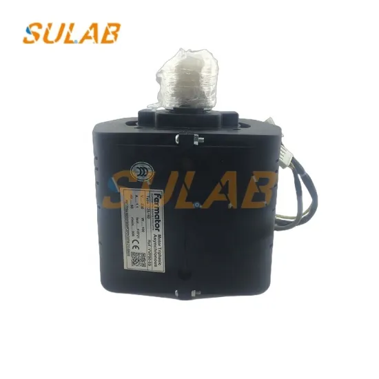 Fermator Elevator Door Motor: 125/40 220V Triphasic Asynchronous VVVF Drive with YVP90-6S
