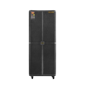 Temeisheng Big Power Dual 15 Inch Heavy Duty Portable Subwoofer Speaker