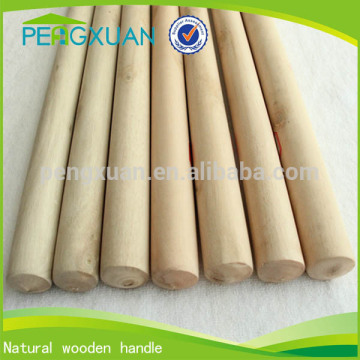 Eucalyptus treated round wood logs