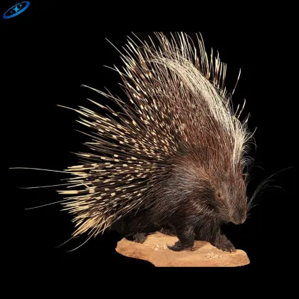 Animatronic Hedgehog Life Size Model