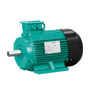 Y2 Series High Speed Double Voltage Three Phase AC Motor 380V/220V Asynchronous Induction Motor
