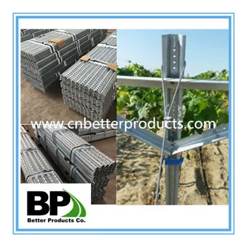 galvanized agricultural field seed stakes post