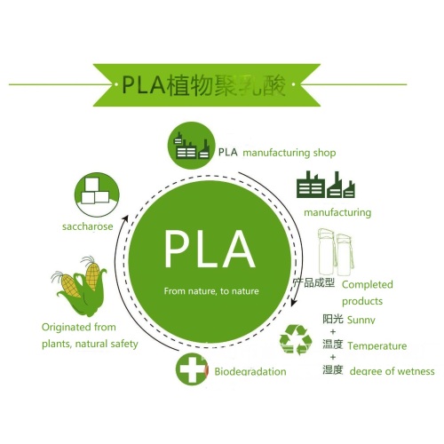 Folha de PLA 100% biodegradável e descartável para talheres