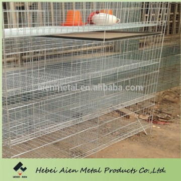baby chick products,baby chick feeding cage