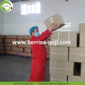 Factory Supply Früchte Neue Ankunft Bayas Goji Berry