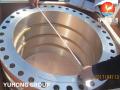 ASTM A182 F51 F51 Duplex Steel Welding Neck Flange