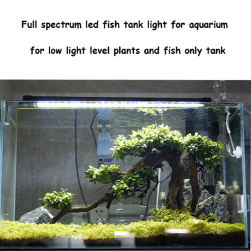 Lâmpada de lâmpada de lâmpada de decoração de aquário
