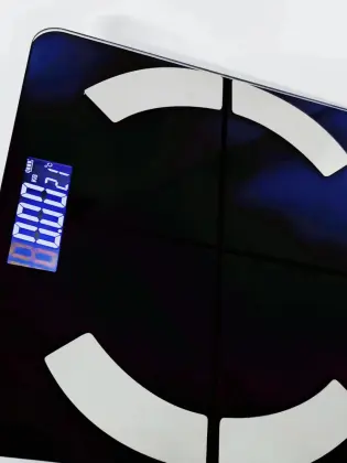 household smart body fat scale