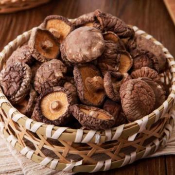 Shiitake Mushroom Dried Export