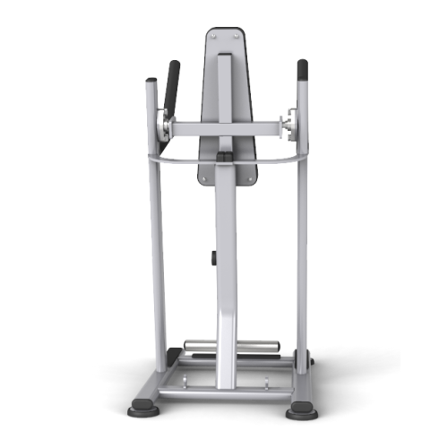 Vertical Moving Leg Raise