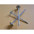 Roofing Nails Polished Shank Roofing Nails Supplier