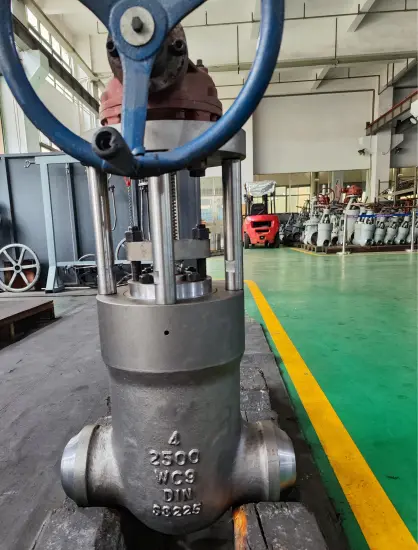 4inch 2500LB WC9 Gate Valve for Power Station