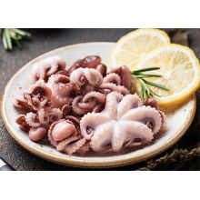 Meeresfrüchtexporte Frozen Octopus Ganzes gereinigt