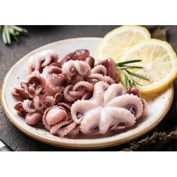 Seafood Export Frozen Octopus Cleaned Whole