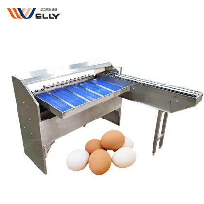Egg Classifier Machine for Chicken Farms: Feedback-Focused Fish Egg and Duck Egg Grading & Sorting by Weight