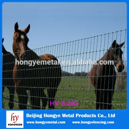 Used Hot Dipped China Grassland Fence/Galvanized Grassland Fence