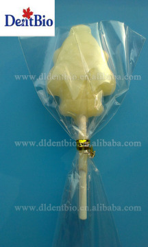 Funny Big Lollipop