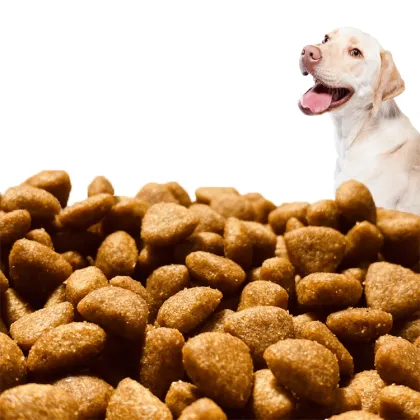 Factory Direct Sale: Wellness Complete Health Dry Dog Food