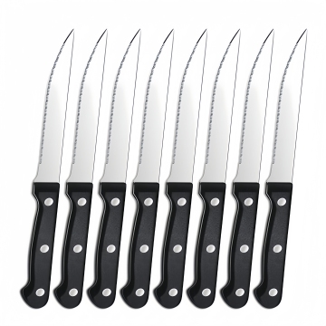 Canton Fair Edelstahlsteakmesser Set mit gezackten Kantenprofis PP -Griff