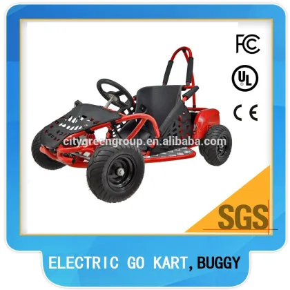 1000W electric motor for go kart, mini go kart for kids(TBG 01-1000W)