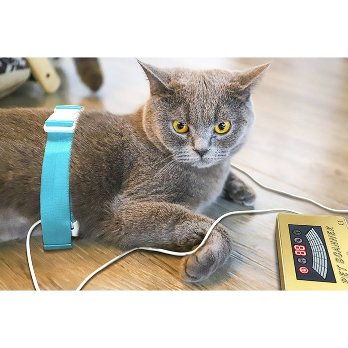 SSCH PET SCANNER QUANTUM ANALYZER TIL HUNDEKAT