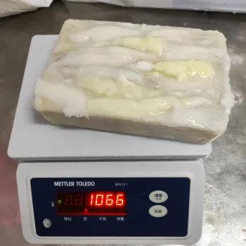 Best Seller High Quality Frozen Illex Squid Whole Round argentina illex squid roe raw material block in stock