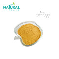 Milk Thistle Extract 80% Silymarin silybin