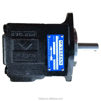 Double Oil Pump Viking Vane Pump VT6C Series